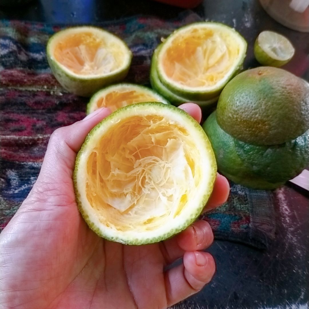 Giao hàng siêu nhanh.
Mới sd đc 2 ngày và thấy rất ổn. Máy vắt tốc độ vừa phải, không quá ồn, vắt kiệt nước hơn các loại vắt cam khác. Không đắng,dễ dàng vệ sinh, mình bán quán nước nên chọn dung tích lớn thấy khá phù hợp.