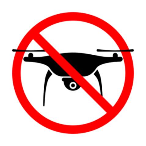 Không có ý kiến