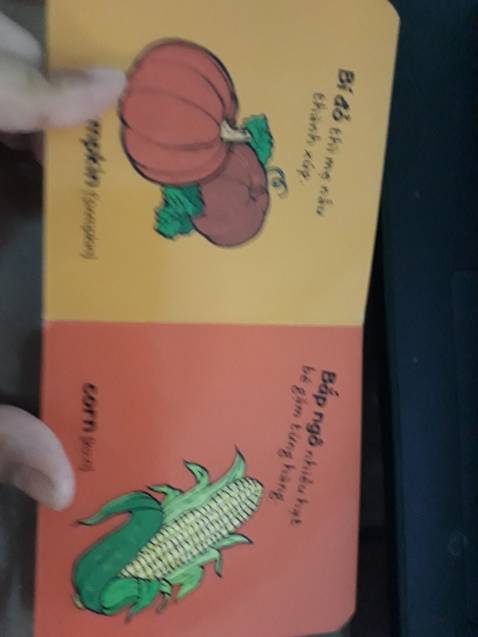 cuốn sách nhỏ, sách lớn tốt hơn, hoặc flashcard sẽ tương tác tốt hơn. Dạy tiếng Việt mình thấy còn k thích. Nếu ảnh thật , chất lượng cao, lớn sẽ đẹp và tả chi tiết hơn cho con được

Cá nhân thôi thì mình ghét nhất là tự gọi là sách song ngữ, chả thấy song ngữ gì cả, chỉ thấy đề tên bằng tiếng Anh với phiên âm thôi .