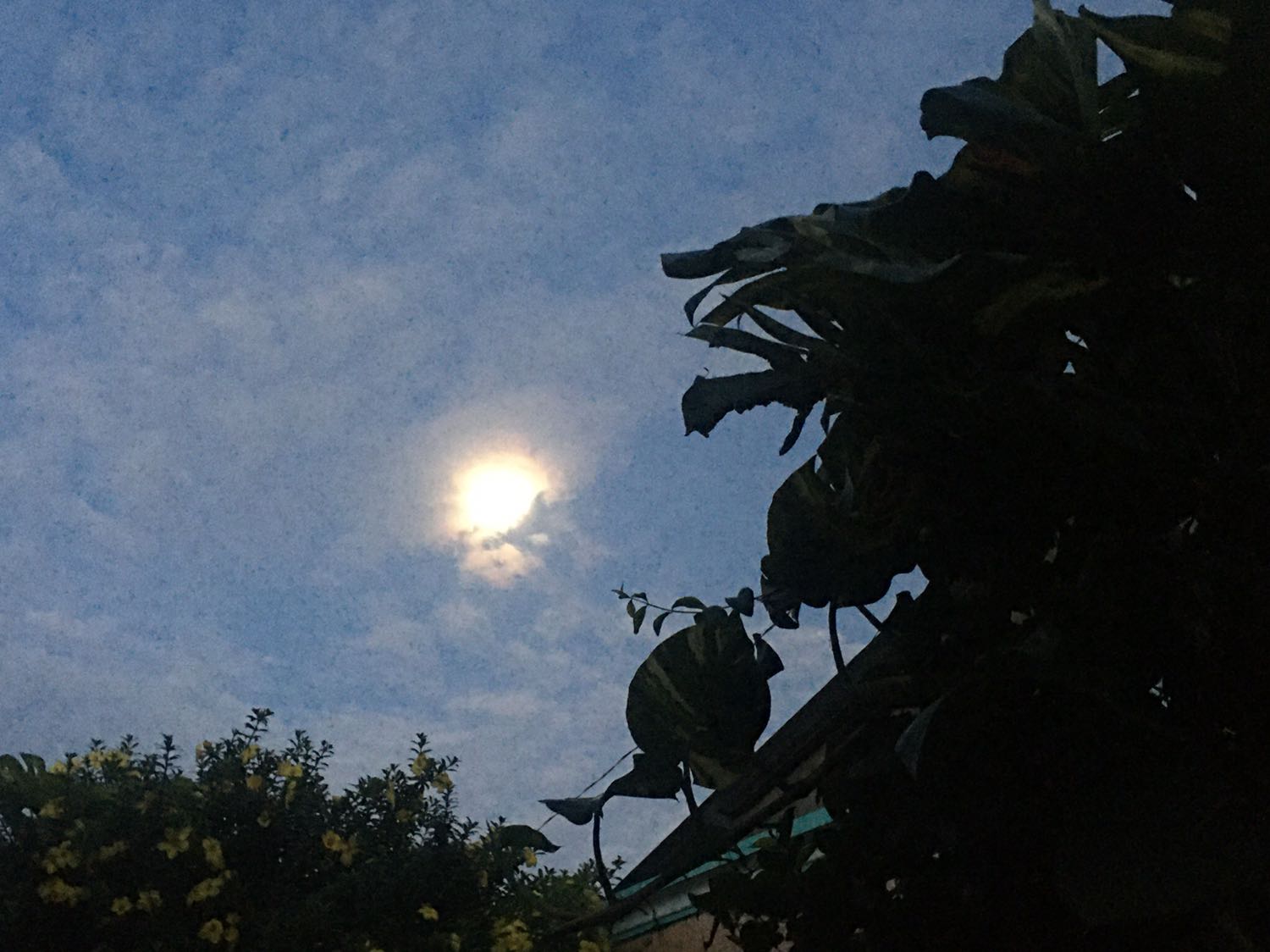 Shop giao hàng nhanh, đóng gói kỹ.