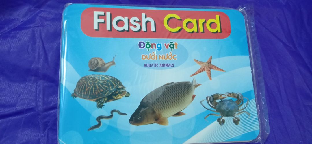 Mình đã nhận được sản phẩm. Giấy dày. Mầu sắc tươi sáng. Rất đẹp. Mình rất thích mà bé cũng rất thích nữa. Cảm ơn shop