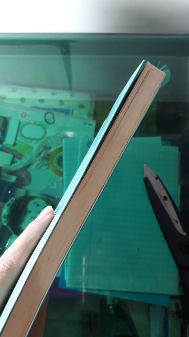 Sản phẩm có hơi ố vàng một chút nhg hình thức đẹp, nhg theo mình thì nội dung hơi nhàm, ko có gì nổi bật cả...