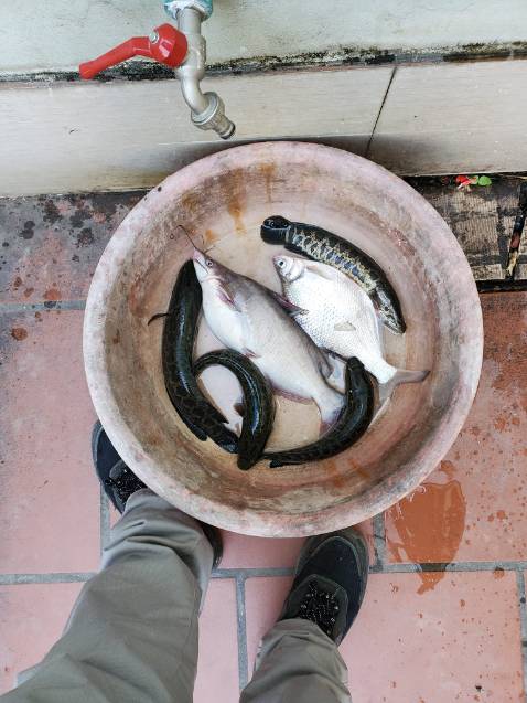 Cần rất chi là ok nhưng mà mới chia tay người yêu nen hơi buồn