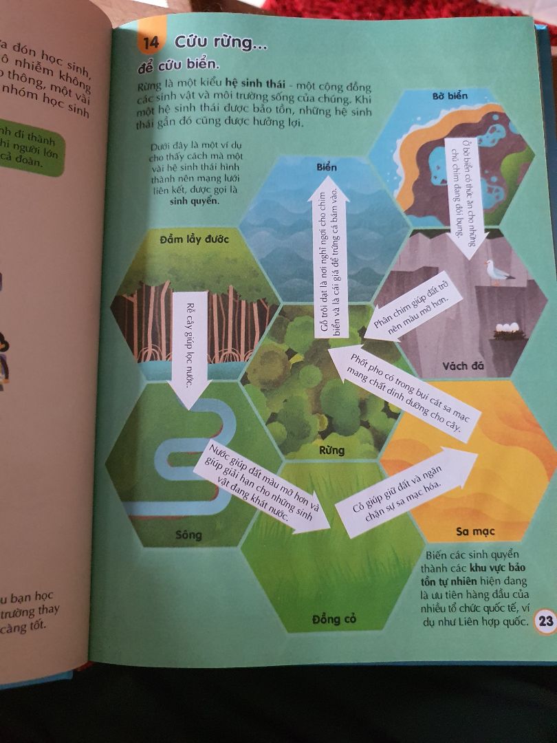- Nội dung: giới thiệu tổng quan, và chi tiết về cách thức giải cứu Trái Đất, những hành động ảnh hưởng đến môi trường và sự kiện độc lạ khác. 
- Sách được gia công bìa cứng, tạo cảm giác cầm chắc tay, giấy chưa được in giấy bóng, hơi tiếc điểm này. 
- Giá: hơi cao so với các cuốn như lịch sử, khoa học, vũ trụ, thức ăn.