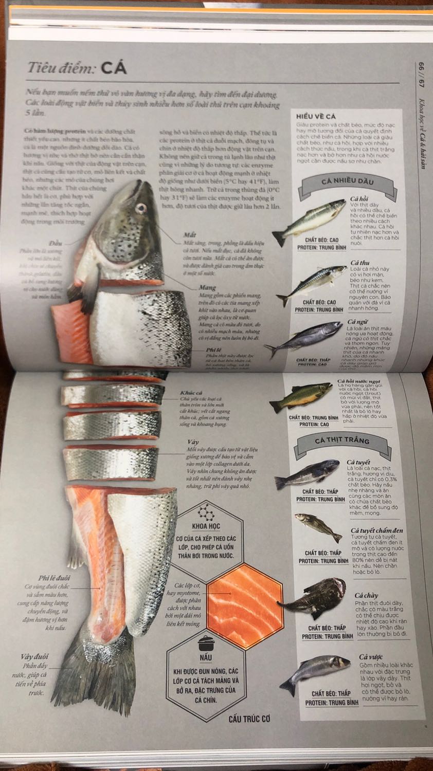 - Sách hay. Giấy đẹp, trình bày dễ hiểu. 
- Nội dung sách nói đến chi tiết cấu tạo, thành phần của các loại thực phẩm, hướng dẫn cách lựa chọn thực phẩm ngon cũng như cách chế biến như thế nào là tốt nhất cho sức khoẻ. Hướng dẫn một số bí quyết trong nấu ăn. 
- Sách giao hơi cong ở góc. Mong đơn vị bán hàng cẩn thận hơn trong khâu đóng gói để người đọc cảm thấy vui hơn khi nhận được 1 cuốn sách ko bị lỗi. Xin cám ơn. - Sách hay. Giấy đẹp, trình bày dễ hiểu. 
- Nội dung sách nói đến chi tiết cấu tạo, thành phần của các loại thực phẩm, hướng dẫn cách lựa chọn thực phẩm ngon cũng như cách chế biến như thế nào là tốt nhất cho sức khoẻ. Hướng dẫn một số bí quyết trong nấu ăn. 
- Sách giao hơi cong ở góc. Mong đơn vị bán hàng cẩn thận hơn trong khâu đóng gói để người đọc cảm thấy vui hơn khi nhận được 1 cuốn sách ko bị lỗi. Xin cám ơn.