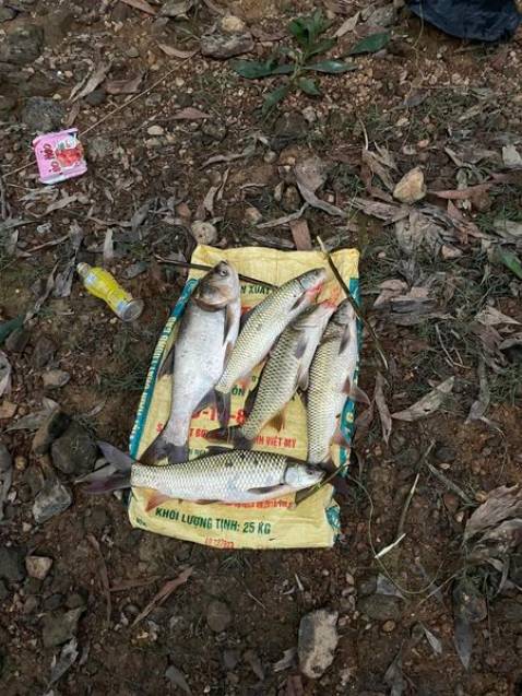 Chất lượng sản phẩm ok shop nhiệt tình