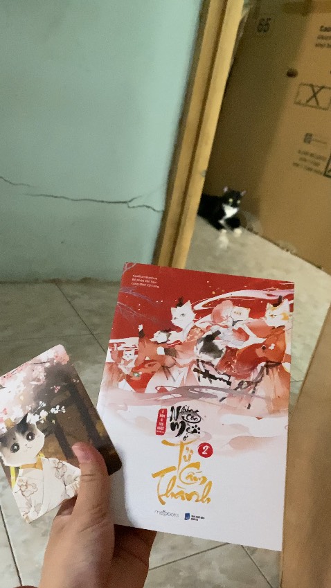 Hình đẹp. Nhân vật là mèo đáng yêu. Xinh xỉu