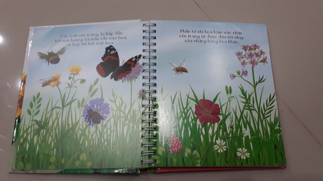 sách đẹp.nội dung khá hay.