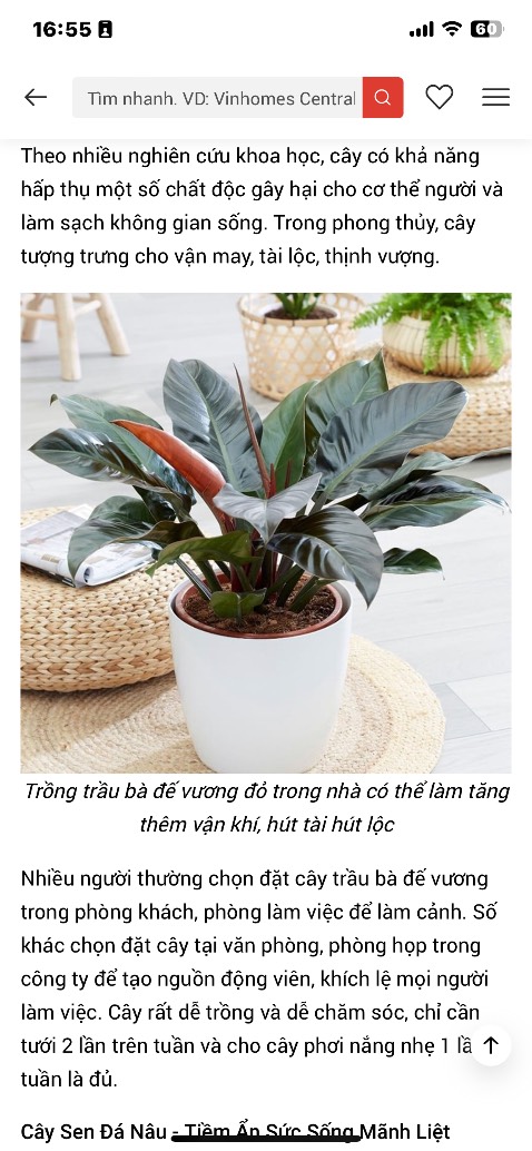 sản phẩm tồi quá lỡ dại 1 lần