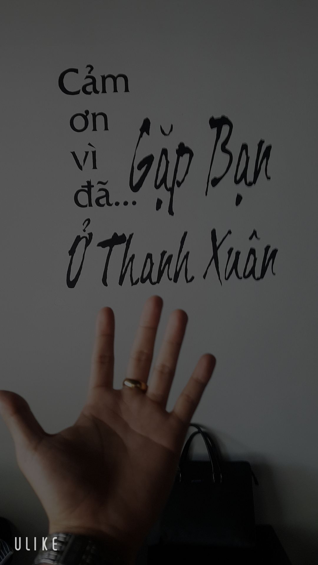 giao hành nhanh sp ok.. shop dễ thương... mà hông biết shop có bán luôn người để đeo nhẫn cùng hay không :)))