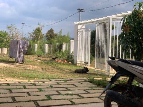 Sản phẩm đúng với quảng cáo. Chất lượng tốt. Đánh giá cho shop 5 sao. Lần sao ủng hộ tiếp.