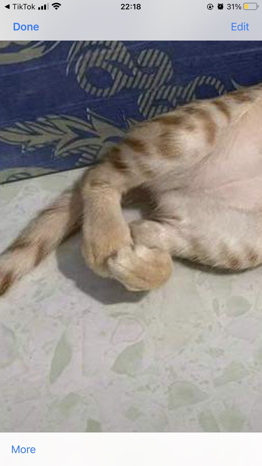 giấy màu trắng, mỏng. hình in trong sách không sắc nét bằng mấy quyển khác. đợt này mình mua 7 quyển, trong đó có 2 quyển của tác giả này. chắc do giá rẻ nên giấy không xịn bằng mấy quyển kia. 
ngay mặt trước của quyển sách có một vết mực dài khoảng 7cm. giận hết sức nên để 3 sao. nhưng mà quyển này bìa đẹp hơn quyển con ốc sên, nhìn mới hơn.