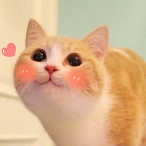 Sản phẩm rất dễ học, đóng gói đẹp rất cẩn thận. Nhân viên tư vấn nhiệt tình có trách nhiệm. Mình sẽ quay lại ủng hộ thêm những sản phẩm khác của bên bạn