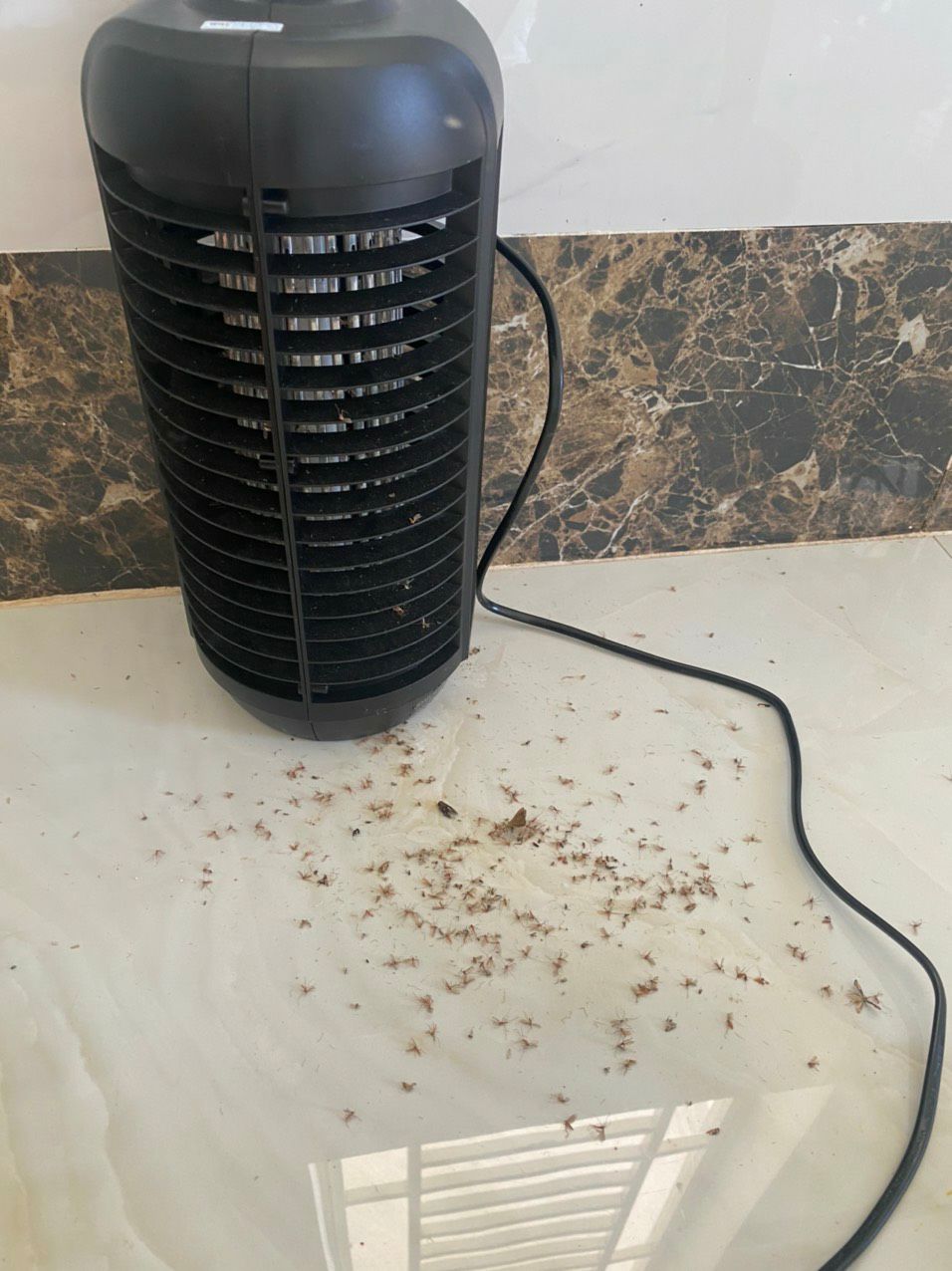 đèn không quá lớn nhưng hiệu quả cực, 10 điểm cho sp, mỗi khi diệt muỗi nó nổ tách tách. đèn con dơi hoạt động ổn định.