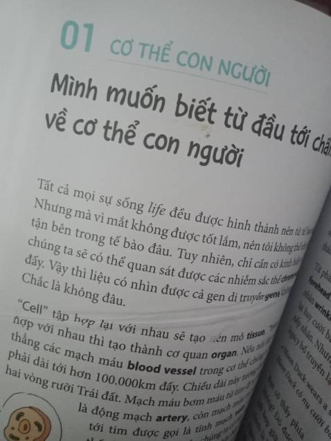 Chú thuật hồi chiến thì tuyệt nhưng sách tiếng anh thì đã bị nhàu vs bẩn trang đầu rồi . Các bạn đưa sách cũ cho tôi à ??
