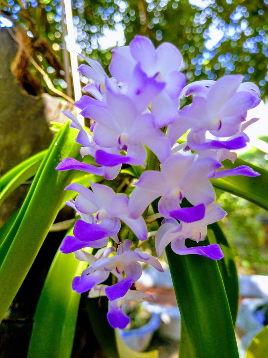 hàng rất tốt, giá hợp lý. mọi người ủng hộ shop.