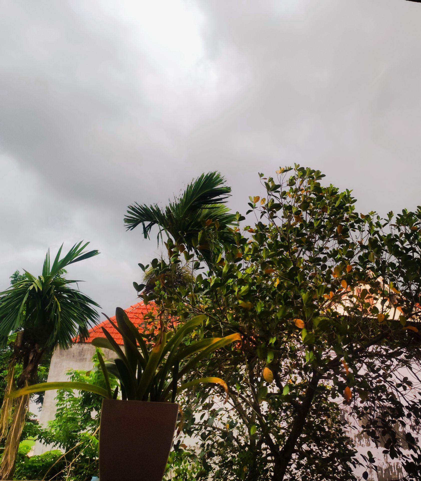 chụp ảnh cũng ok