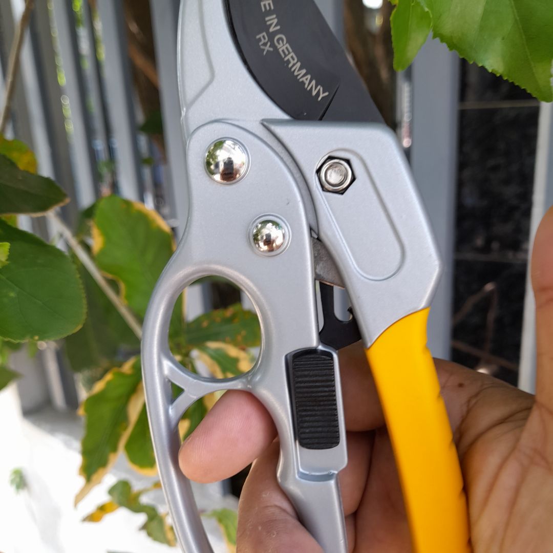 quá đẹp
chắc chắn
kéo cộng lực cắt cành #20mm nhanh chóng
shop tư vấn nhiệt tình
hàng Germany xịn so
tốt