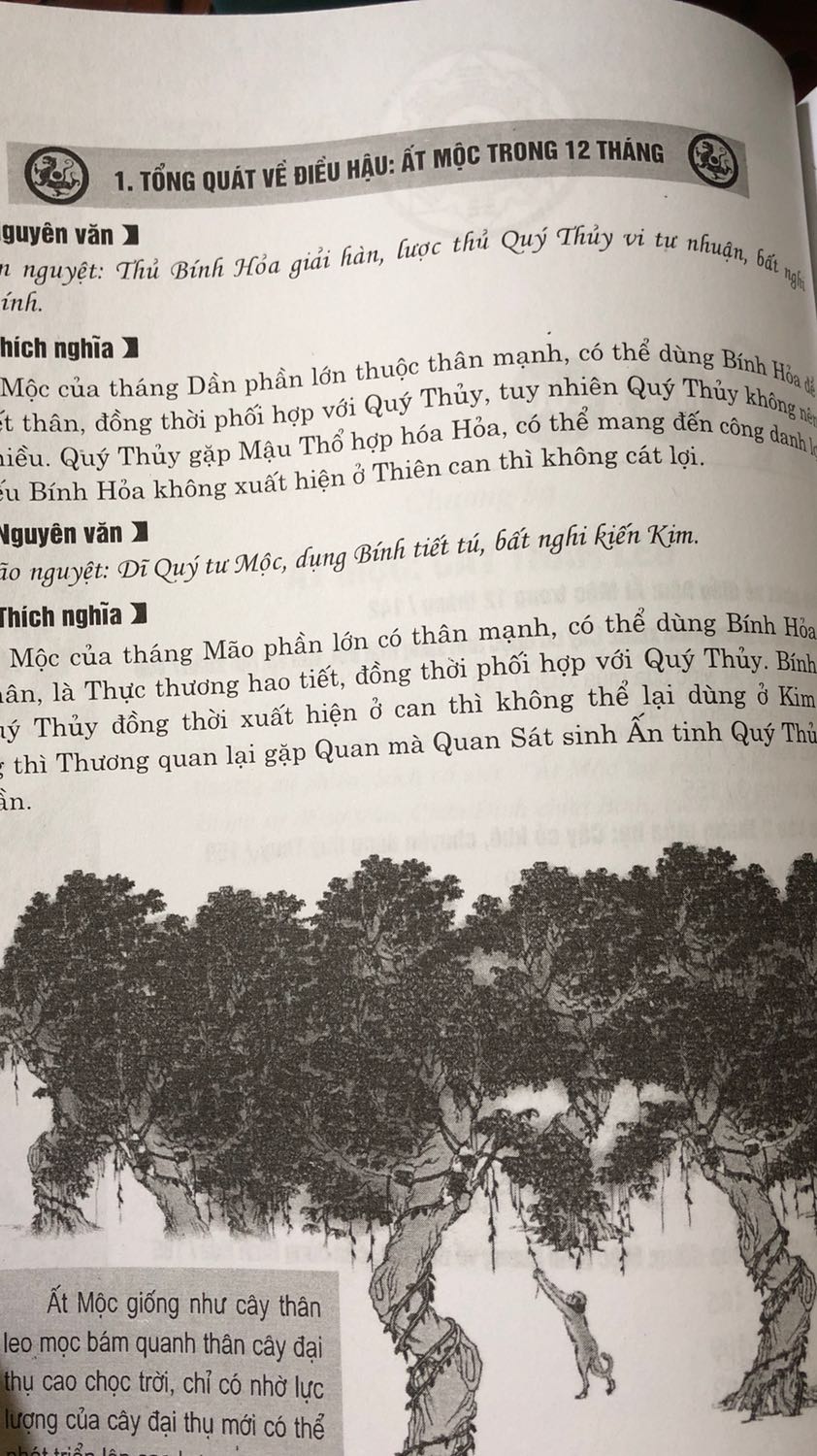 Sách bìa cứng, dày dặn. Có giá trị tham khảo cao với ai đam mê bộ môn nghiệm lý. Xin cảm ơn.