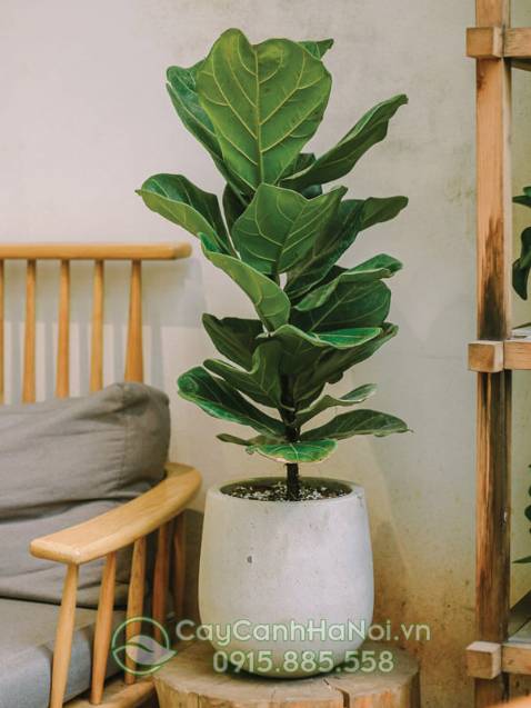 Ghé Ghé chơi LazLand, nhận gạo miễn phí! | https://s.lazada.vn/s.2RurmGhé chơi LazLand, nhận gạo miễn phí! | https://s.lazada.vn/s.2RurmGhé chơi LazLand, nhận gạo miễn phí! | https://s.lazada.vn/s.2Rurm