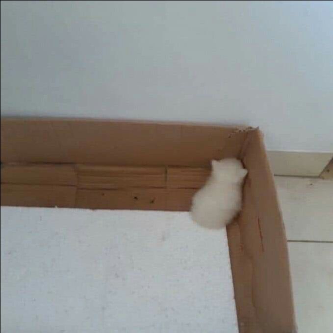 giao hàng nhanh giao hàng nhanh