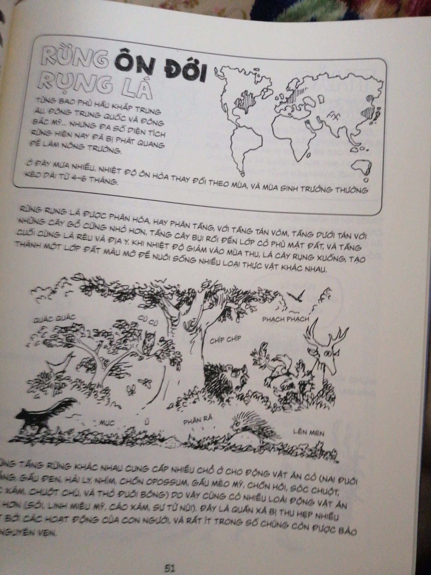 sách đẹp, quá hay luôn, nội dung kiến thức thích hợp cả người lớn và trẻ em!