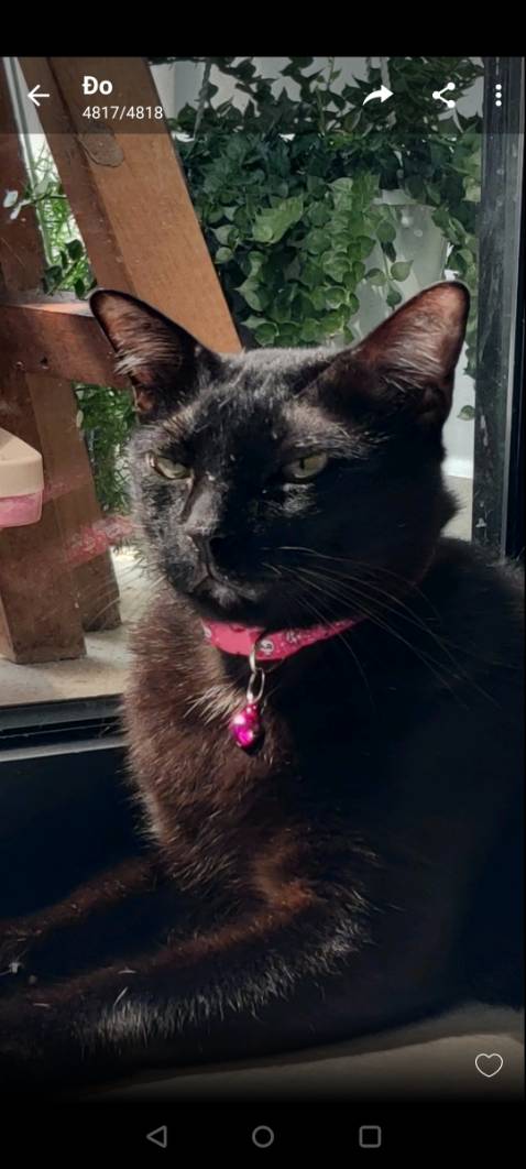 Chất lượng ổn giá phải chăng, nên mua dùng thử rất tiện nha