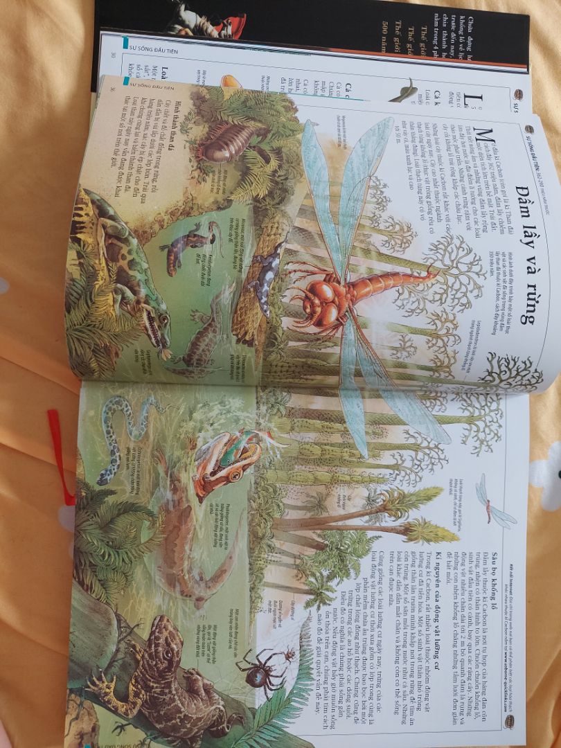 mặc dù giao hàng lâu ơi là lâu đặt từ đầu tháng 10 tới cuối tháng mới nhận được. May mà sách không bị móp méo gì cả. Sách này đáng để mua, nên mua.