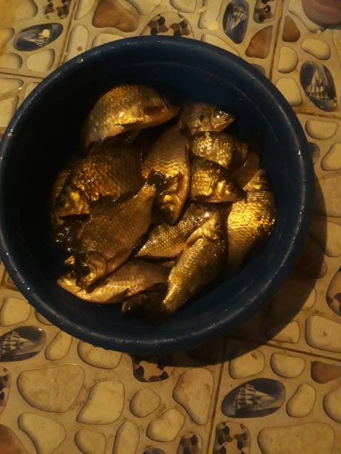 Shop giao hàng siêu nhanhhhhh 👍🏽 chưa đến 2 ngày là có hàng rồi