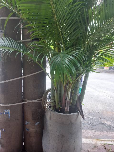 Sản phẩm chất lượng. Dùng tốt. Đáng mua, giao hàng nhanh. Xuất hóa đơn nhanh. Nên mua. Hình ảnh mang tính chất nhận xu