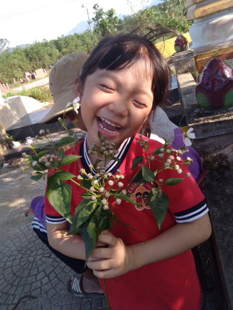 đẹp, chất lượng tốt, lựa màu hơi xấu chút