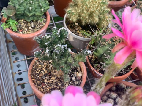 Hay lắm nhé sách đẹp giao hàng nhanh chất lượng