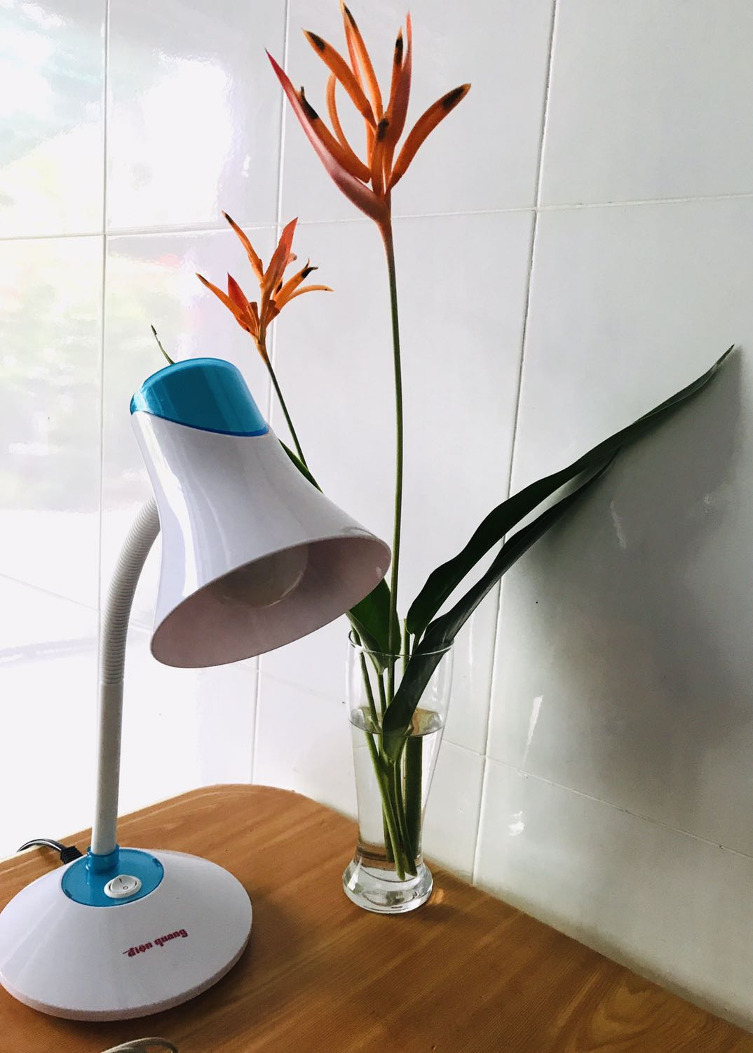 Mình đặt đèn màu đỏ nhưng chắc hết hàng nên Điện Quang giao đèn này. Đèn sáng, chắc chắc, để trên bàn rất vững. Dù không đúng màu nhưng mình vẫn hài lòng về chất lượng.