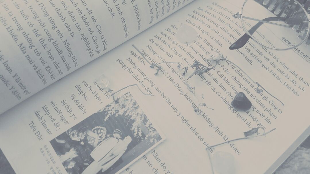 Thiên hạ chi vương , là chuyện ở Phú Xuân , chuyện ở xứ nam hà, chuyện về họ Nguyễn Phúc . 
Tiếc nuối , nổi buồn man mác khi gấp quyển sách lại. Thật sự , thời thế , quyền lực , rốt cuộc đã nhào nặn thế nào ? Khiến linh hồn một đứa trẻ như Nguyễn Phúc Thuần thành ra vặn vẹo đến thế....đau lòng .