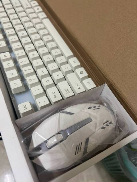 Bàn phím rất êm và đẹp
Chuột hơi lag nhẹ nhưng cũng được
Ko biết bền ko nhưng thấy rẻ đó, giao hàng nhanh nữa