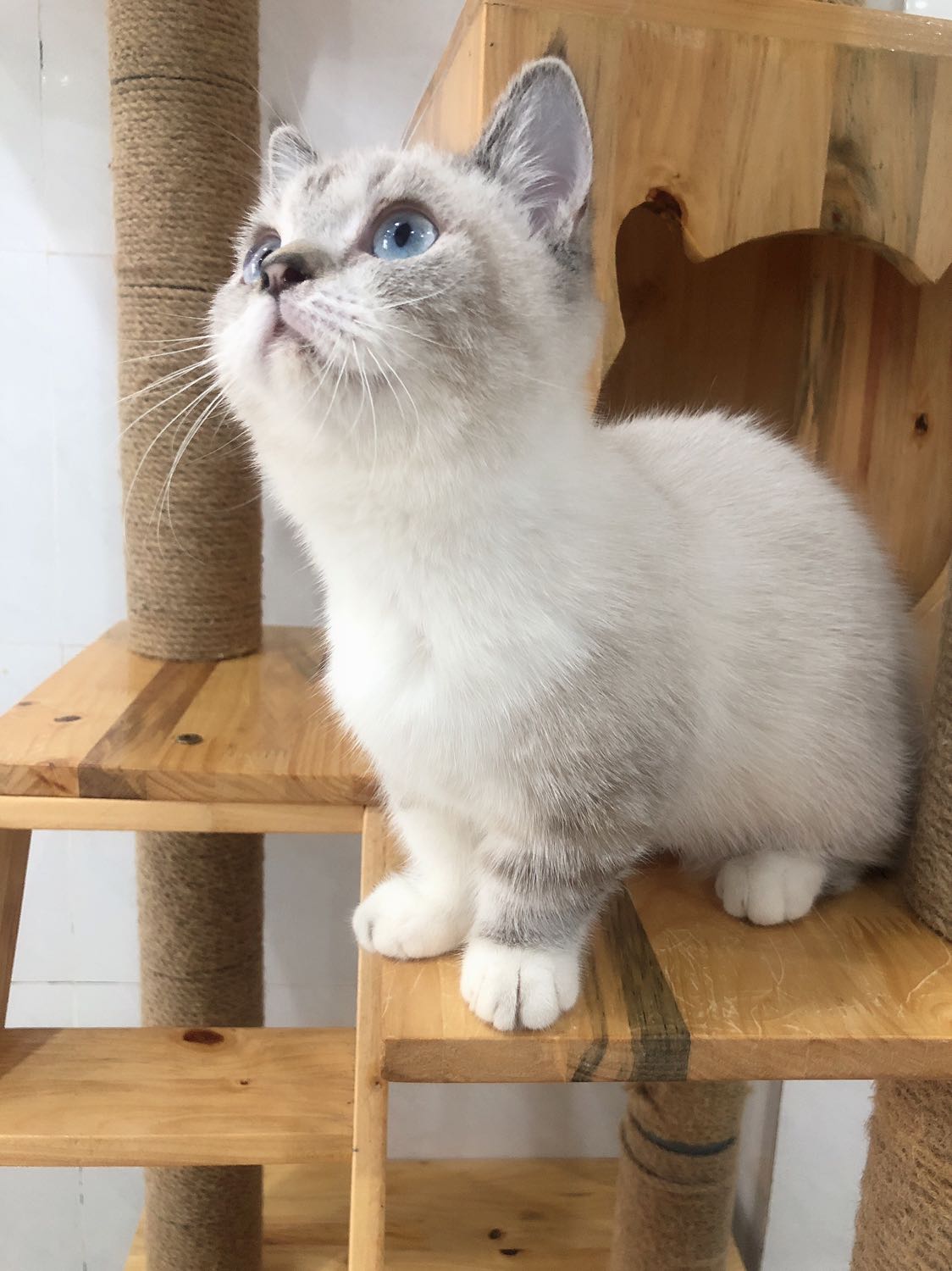 Bộ nồi dày dặn mig rất ưng. Sẽ ủng hộ thêm cho shop?. Hình ảnh chỉ mang tính chất lười chụp thôi ạ?