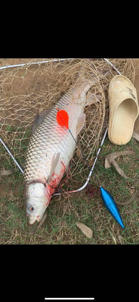 Đã mua 1 lần rùi.lần này lấy 2 cái.sản phẩm tốt trong tầm giá