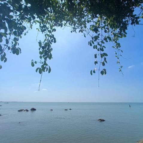 Sản phẩm rất tốt ạ 5 sao nhé