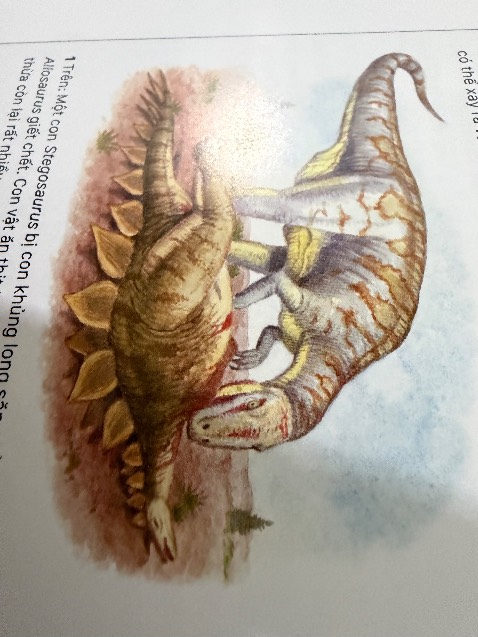 Sách rất tuyệt. Có cả bìa bánh mì nên giữ sách mới được khá lâu. Sách rất nhiều chữ, có hình ảnh nhưng chữ hơi nhiều, nên cân nhắc khi mua cho bé nhỏ tuổi, khoảng tầm  11, 12 tuổi thì mới nên mua. Sách có vài hình khá nhạy cảm như máu, thịt nên bé tâm lí yếu thì đừng mua. Đọc rất hay, nhiều thông tin và nhiều loài khủng long nhưng còn vài lỗi sai do sách xuất bản năm 2000s, thấy tái bản nhiều lần nhưng chưa sửa lỗi. Nói chung là đọc hay, nhiều loài khủng long và nên mua cho bé thích khủng long nhưng có vài lỗi sai và vài hình ảnh hơi nhạy cảm, hơi nhiều chữ, nên mua cho bé từ 10-13 tuổi là hợp lí.