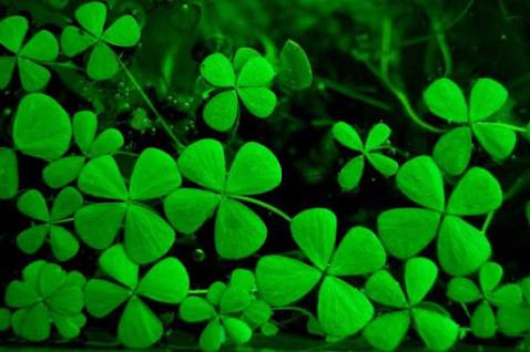 Bình thường mọi người ạ. Mình không thích mùi của chai này, mùi nó phổ thông lắm mà cảm giác như hàng không chính hãng ý, lúc mình nhận chai về siêu bụi và cũ, date cuối 2021. Ảnh để tạm vì mình dùng lap đánh giá nên k có ảnh