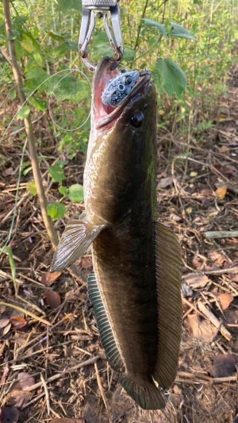 Hàng quá oke nhân viên giao hàng rất nhiệt tình và thân thiện cảm ơn shop🥰