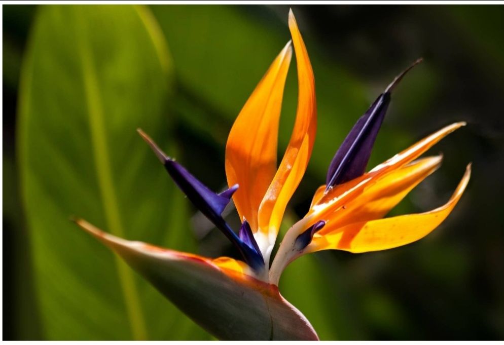 Okie, dễ đọc dễ hiêu! Nên mua thêm sách Nhân số học của MC Quỳnh Hương để đọc thêm để hỗ trợ! Giao hàng nhanh, sách mới