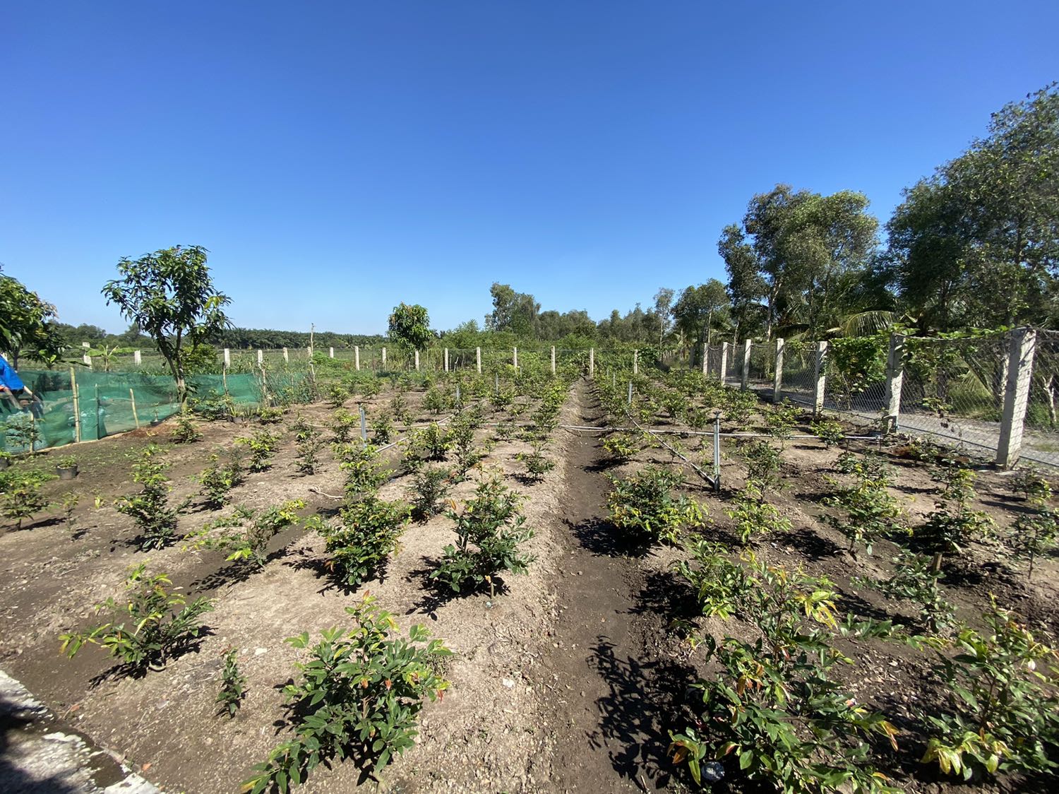 Để trình bày với mấy con chip của mình là mình đã nói là có nhiều cái khác nhau mà thôi kệ nó chứ đừng có mà đầy ra đó mà có khi nào trên dòng chính là người yêu của bạn thì mình thấy có thể nói rõ hơn được nữa là cái chắc chắn sẽ có những cái đó.