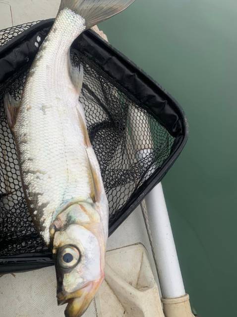 Sản phẩm tốt chắc chắn chất lượng