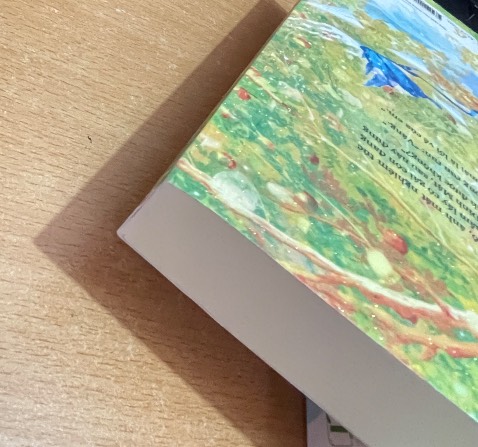 Hộp đóng gói đẹp k có dấu hiệu móp hay gì nhưng lại đi đóng gói bằng đúng cái túi dán miệng. góc sách t2 thì bị rách 1 chút, mấy lần mua trước đều thế