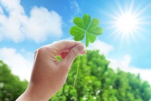 Bếp ga Rinnai hàng Việt Nam đẹp cứng cáp nhân viên giao hàng tận nơi nhiệt tình