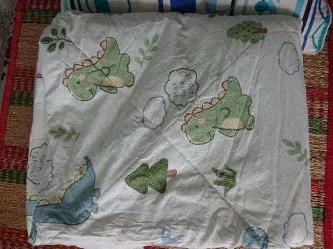 Mặt trong màu xanh lá cây hợp phong thủy mệnh mộc.đắp vào người cảm giác mềm mại. Mặt chăn mát . có 3 cái mác từ nhỏ đến bự của nhà sản xuất lòi ra khi xếp lại , nhìn ko thoải mái.