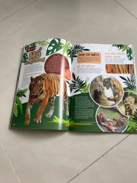 Sách đẹp, hình ảnh phong phú, rất bổ ích cho trẻ