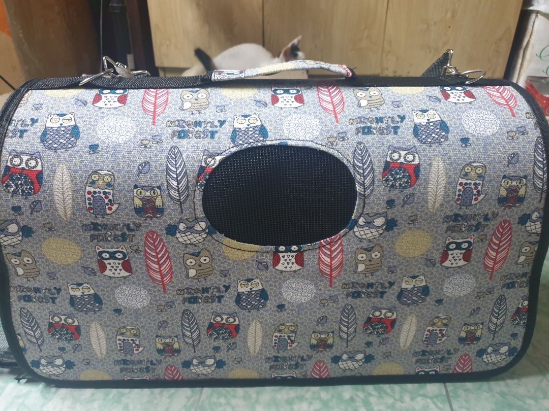 Túi to, rộng rãi, cứng cáp và chắc chắn, shop giao ngẫu nhiên nhưng đúng mẫu mình thích, phần đế cứng thêm nữa là perfect luôn. 
Tô đôi mình tưởng nhỏ nhg đáy sâu nên để thức ăn và nước cho bé rất thoải mái