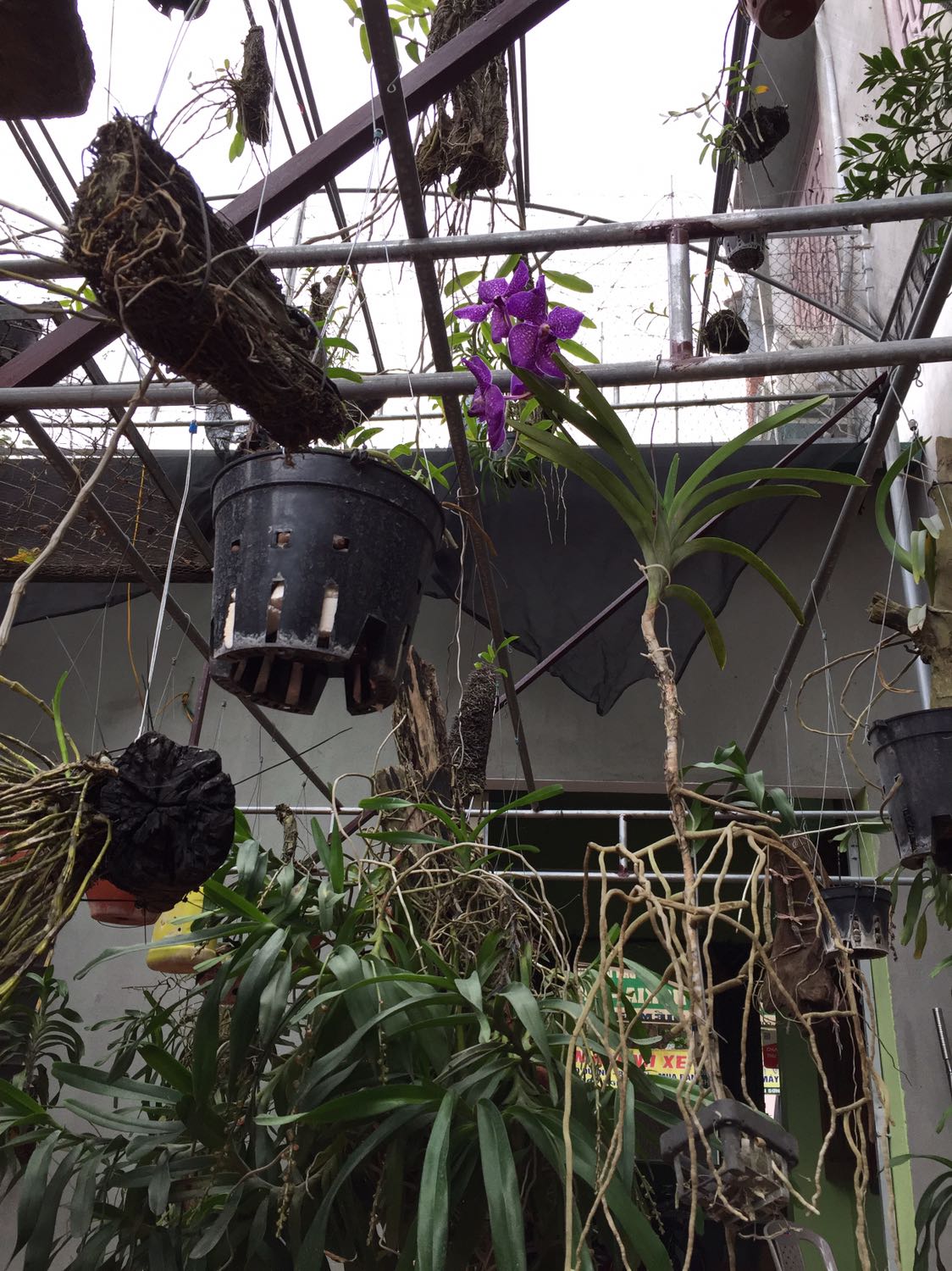 Sữa tốt, nên mua